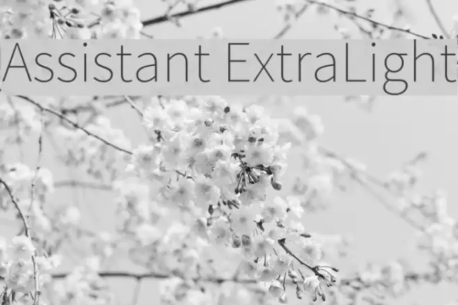 Assistant ExtraLight Font examples