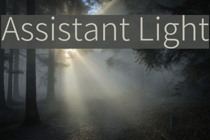 Assistant Light Font examples