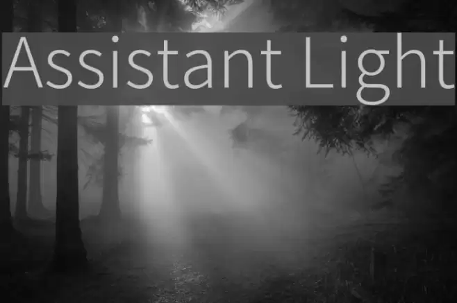 Assistant Light  examples