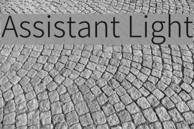 Assistant Light  examples