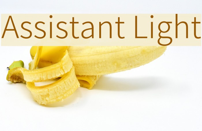 Assistant Light Font examples