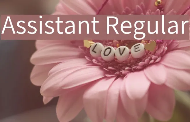 Assistant Regular Example 2