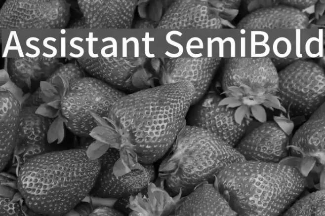 Assistant SemiBold Font examples
