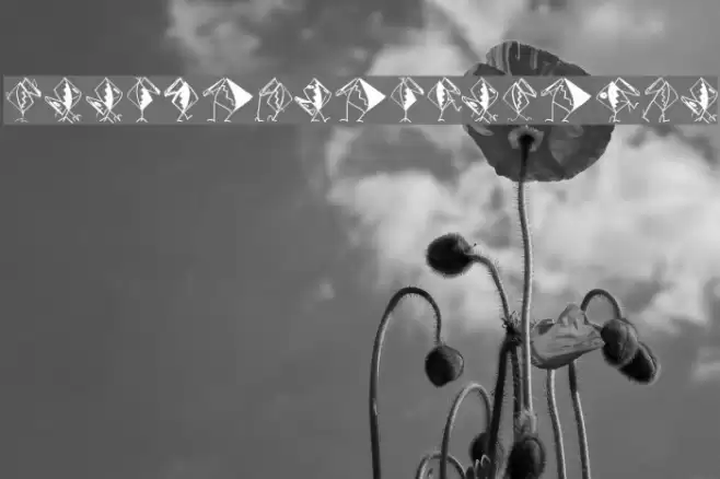 AssociationsBirds Font examples