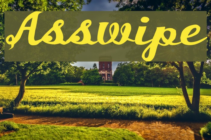 Asswipe Font examples