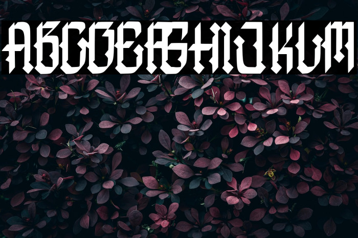 Assyam Regular Example 2