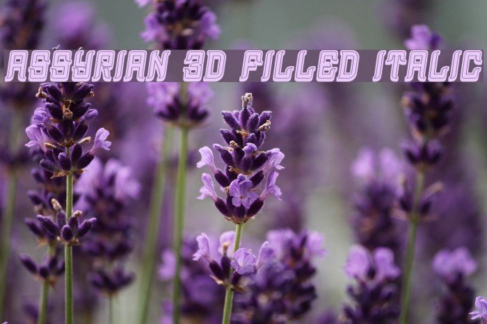 Assyrian 3D Filled Italic Font examples