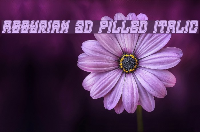 Assyrian 3D Filled Italic Font examples