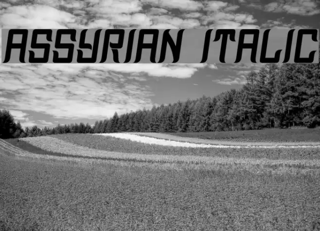 Assyrian Italic Font examples