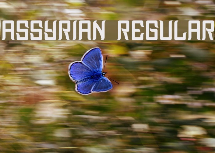 Assyrian Regular Font examples