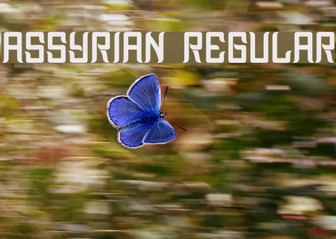 Assyrian Regular Example 1