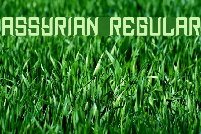 Assyrian Regular Example 3
