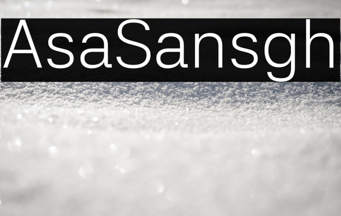 Asta Sans Light Example 1
