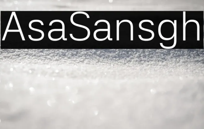 Asta Sans Light Example 1