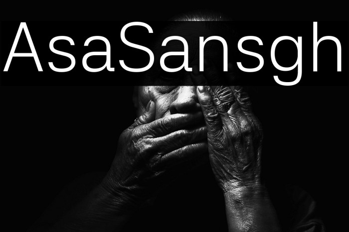 Asta Sans Light Example 3