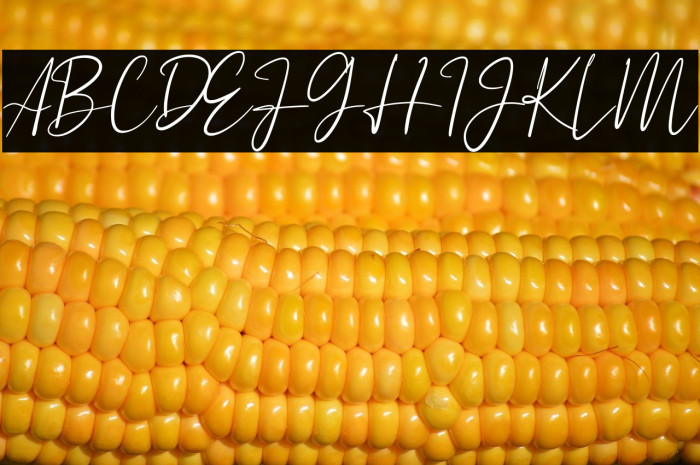 Astagina Signature Example 3