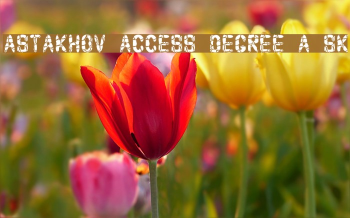 Astakhov Access Degree A Sk Font examples