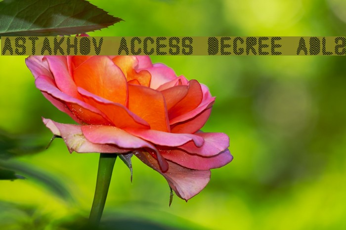 Astakhov Access Degree ADL2 Font examples
