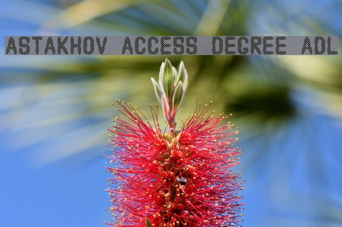 Astakhov Access Degree ADL Font examples