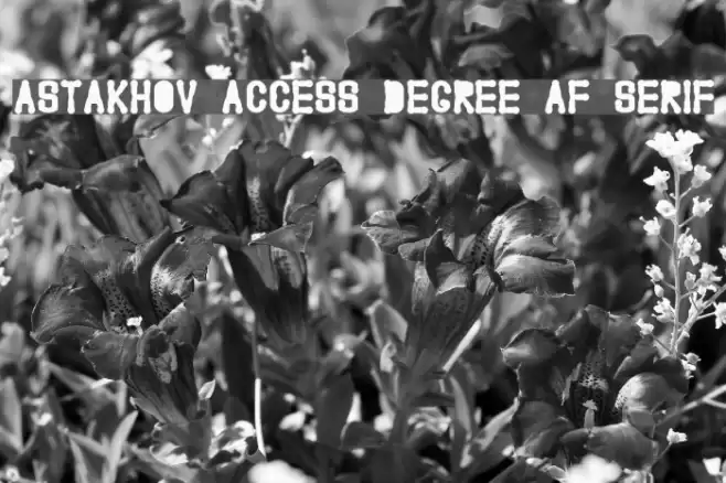 Astakhov Access Degree AF Serif Font examples