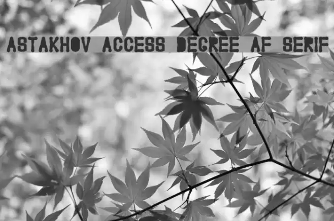 Astakhov Access Degree AF Serif Font examples