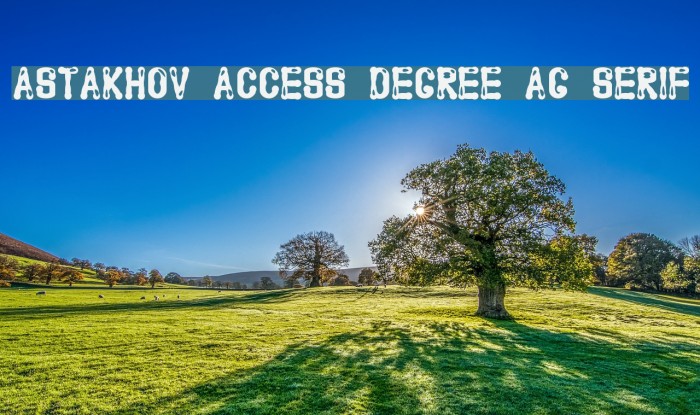 Astakhov Access Degree AG Serif Font examples