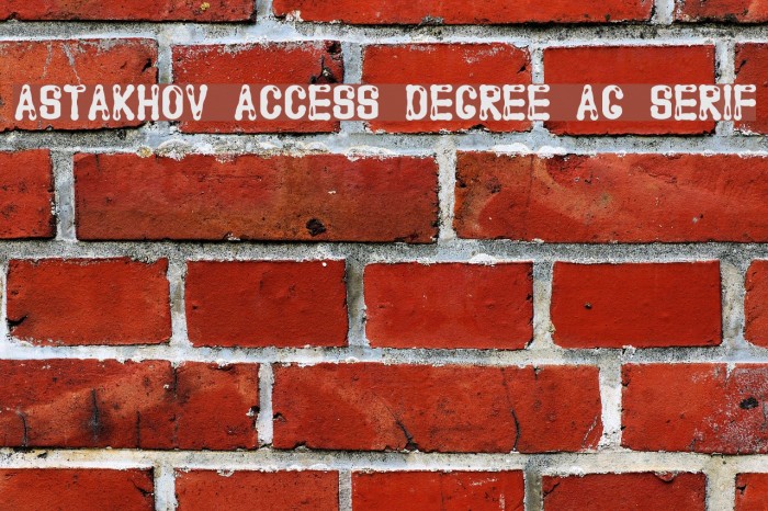 Astakhov Access Degree AG Serif Font examples