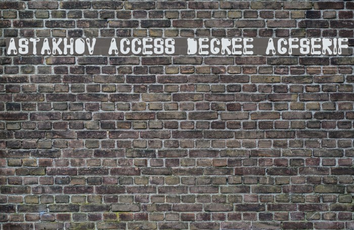 Astakhov Access Degree AGFSerif Font examples