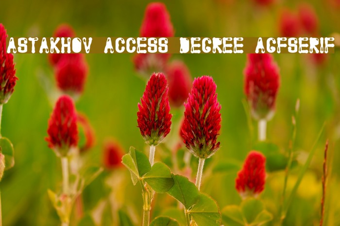Astakhov Access Degree AGFSerif Font examples