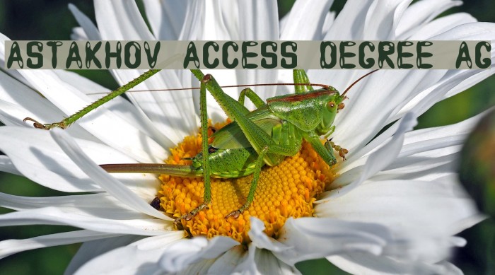 Astakhov Access Degree AG Example 2