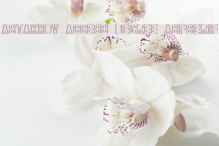 Astakhov Access Degree ASFSerif Font examples