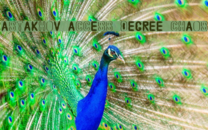 Astakhov Access Degree Chaos Font examples