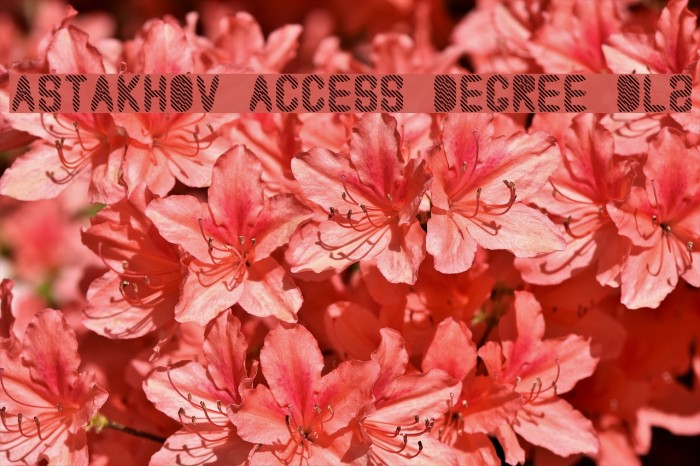 Astakhov Access Degree DL2 Font examples