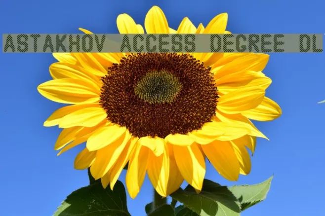 Astakhov Access Degree DL Example 1