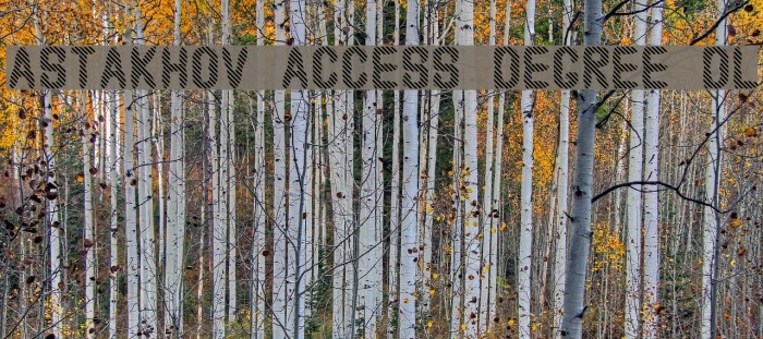 Astakhov Access Degree DL Font examples