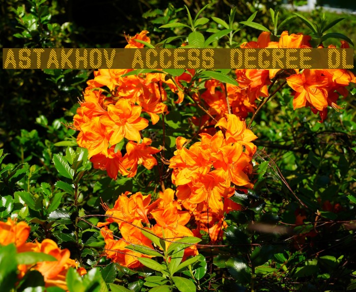 Astakhov Access Degree DL Font examples