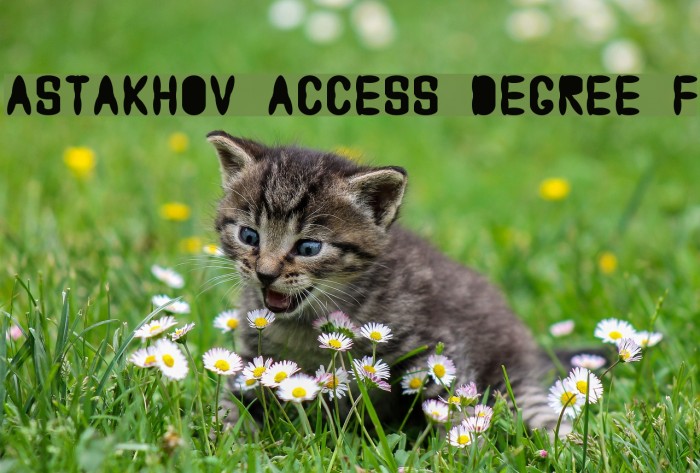 Astakhov Access Degree F Font examples