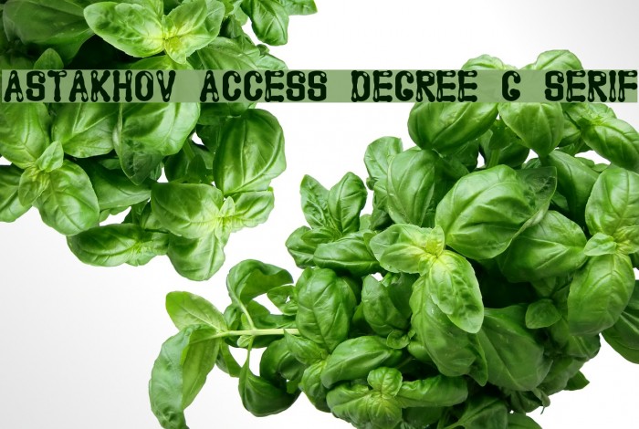 Astakhov Access Degree G Serif Font examples