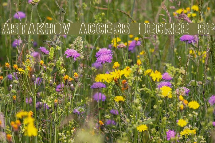 Astakhov Access Degree SF Font examples