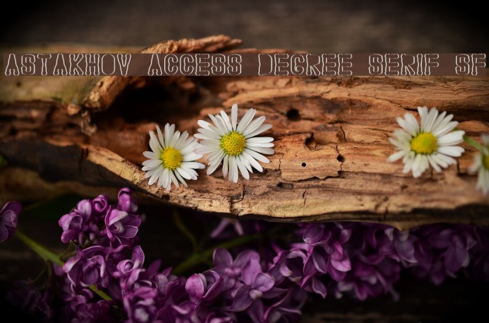 Astakhov Access Degree Serif SF Example 1