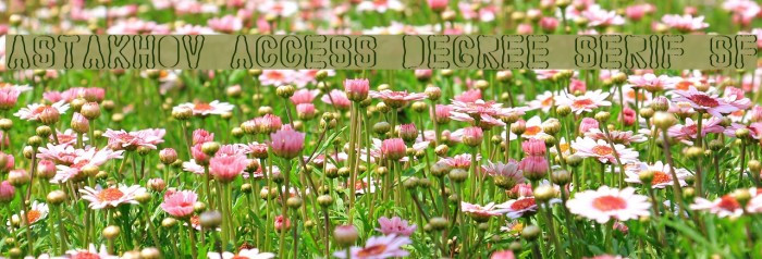 Astakhov Access Degree Serif SF Example 3