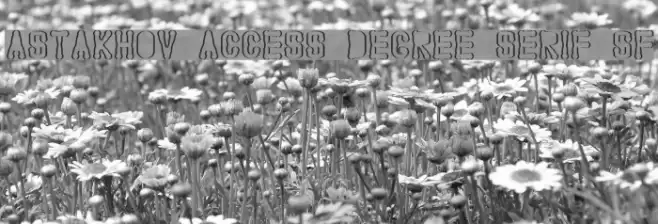 Astakhov Access Degree Serif SF Font examples