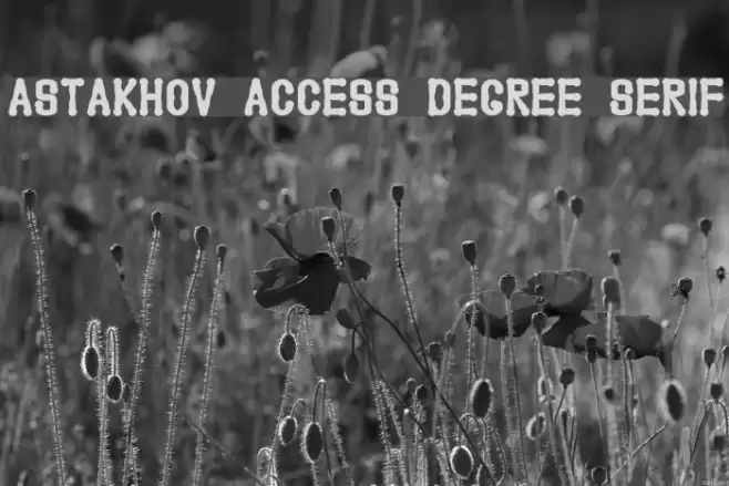 Astakhov Access Degree Serif Font examples