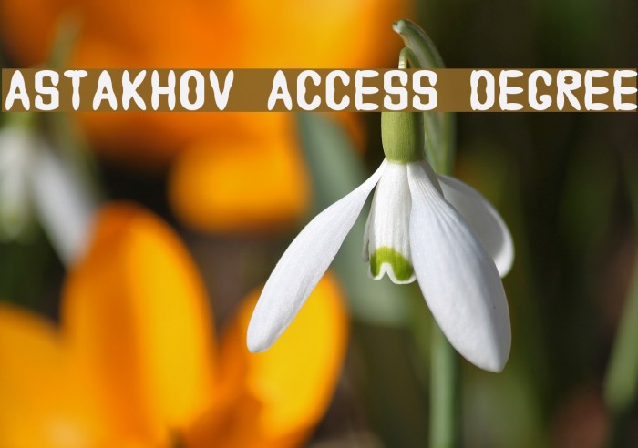Astakhov Access Degree Font examples