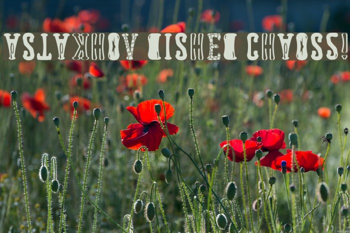 Astakhov Dished ChAoS2! Example 1