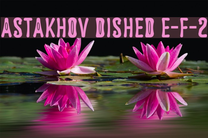 Astakhov Dished E-F-2 Example 3