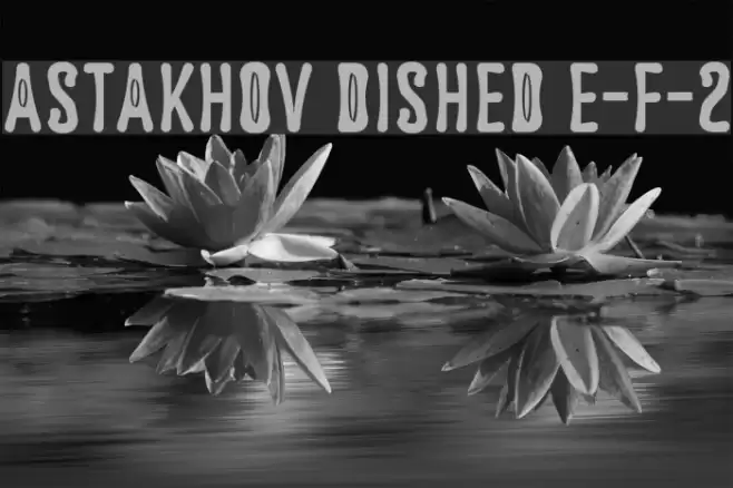 Astakhov Dished E-F-2 Font examples