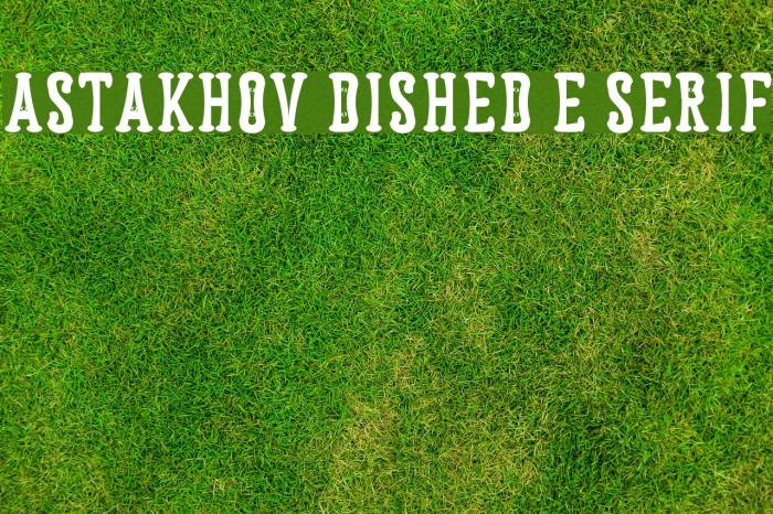 Astakhov Dished E Serif Font examples