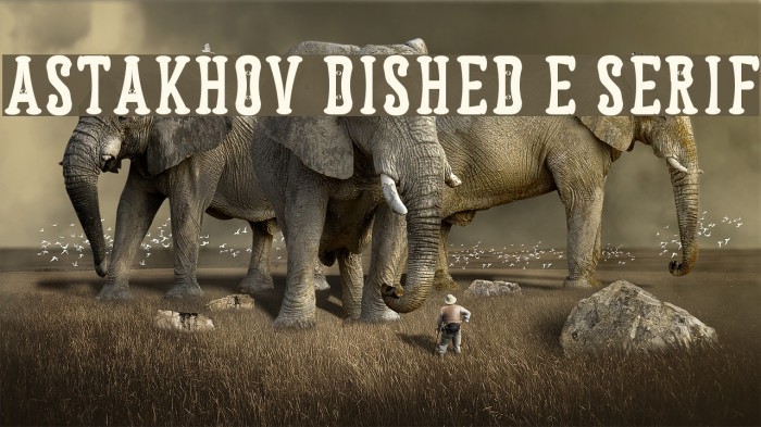 Astakhov Dished E Serif Font examples