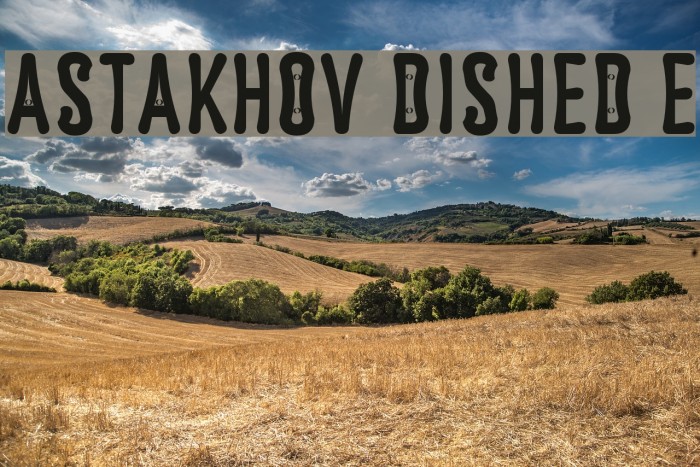 Astakhov Dished E Font examples